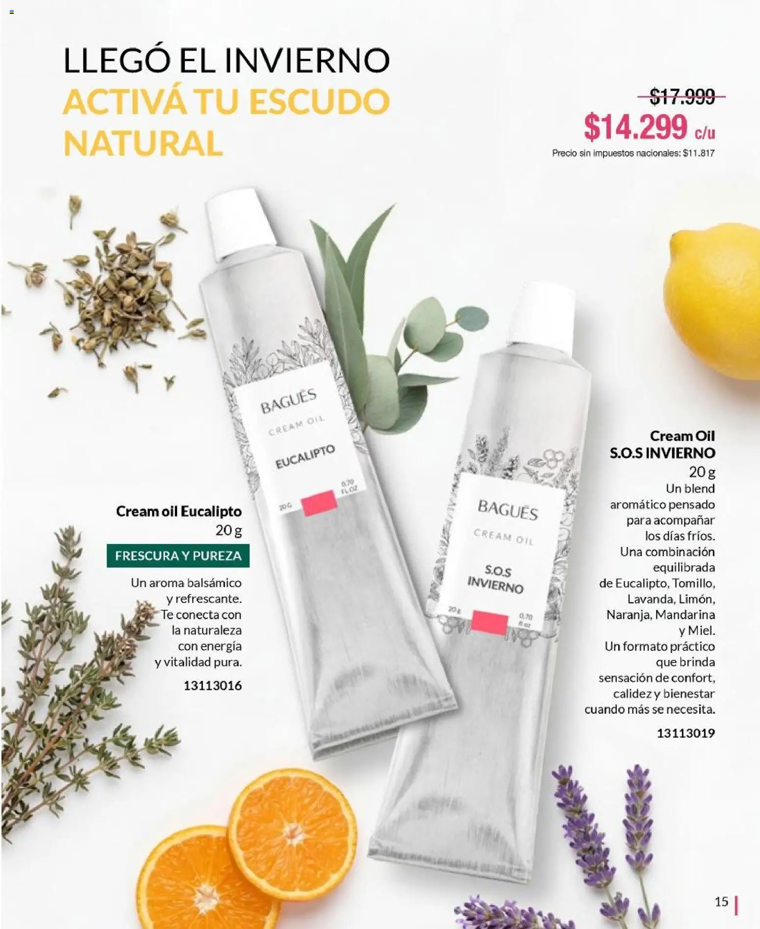 Bagués - Catálogo │ válido desde el 01.06.2026 | Página: 15 | Productos: Té