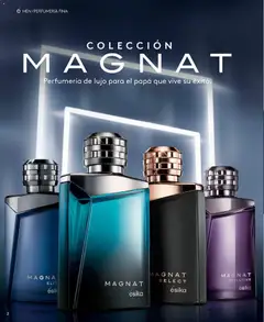 Catálogo Ésika Campaña 9 válido desde el 17.05.2026 | Página: 2 | Productos: Papa