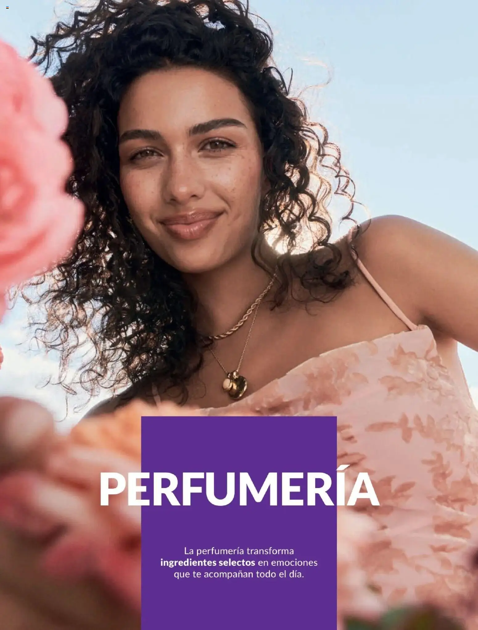 Catálogo Avon válido desde 06.05.2026 | Página: 76 | Productos: Té