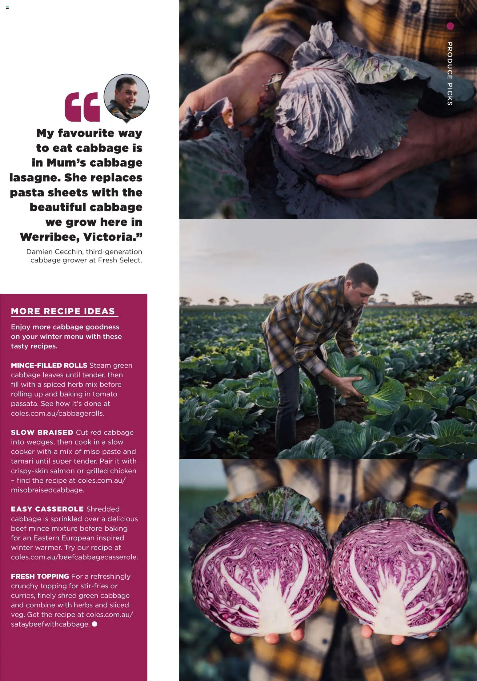 Coles catalogue - valid from 01/07/2026 | Page: 23 | Products: Herb, Pasta, Salmon, Cabbage
