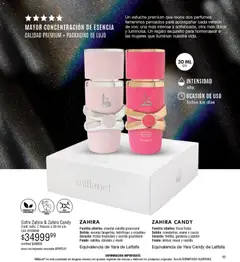 Vista previa Millanel - Catálogo válido desde el 27.04.2026 | Página: 17 | Productos: Ananá, Estuche