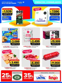 Vista previa Carrefour Maxi catálogo válido desde el 04/09/2026 | Página: 9