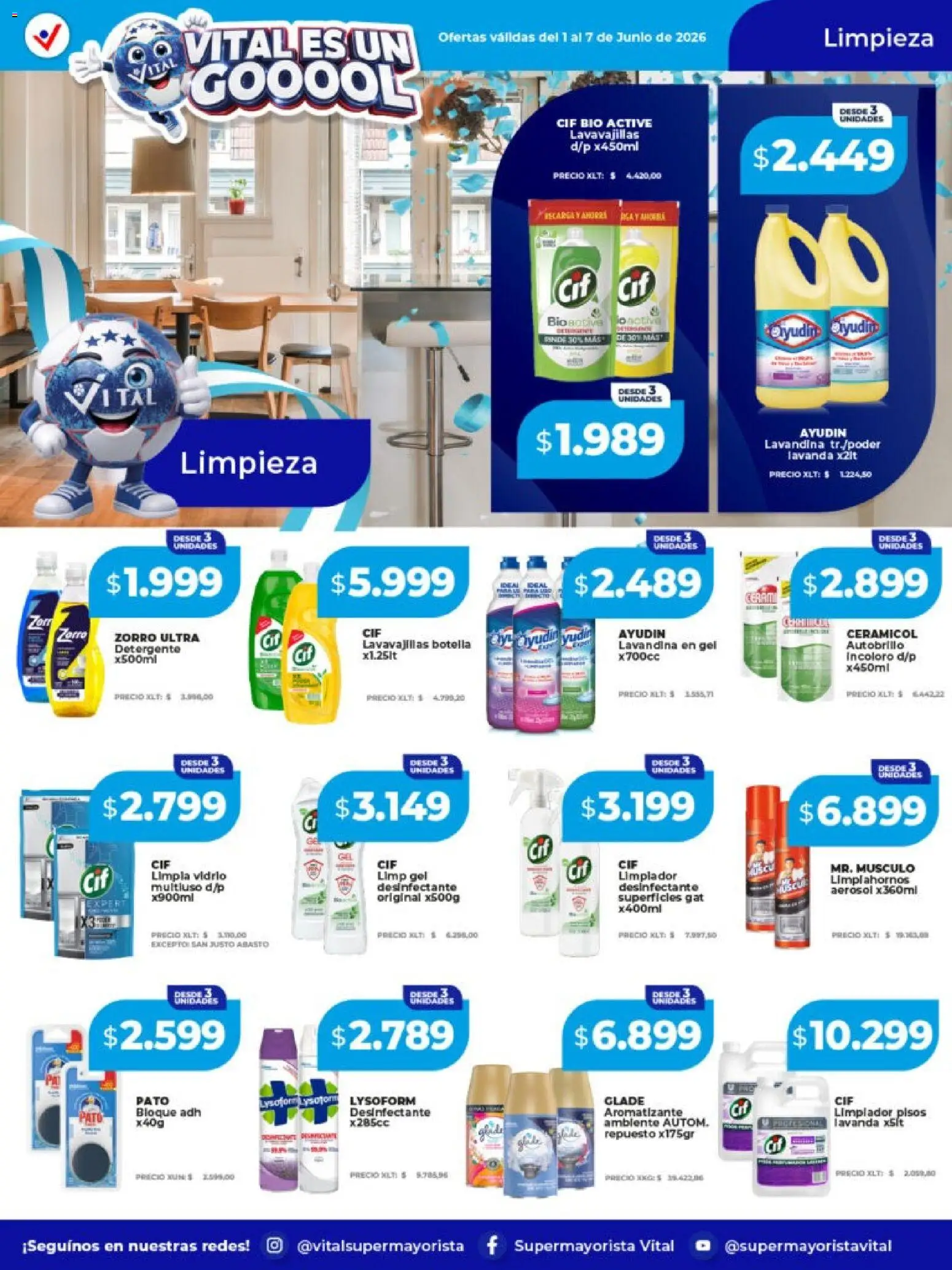 Vital - Ofertas │ válido desde el 01.06.2026 | Página: 6 | Productos: Desinfectante, Lavandina, Botella, Limpiador