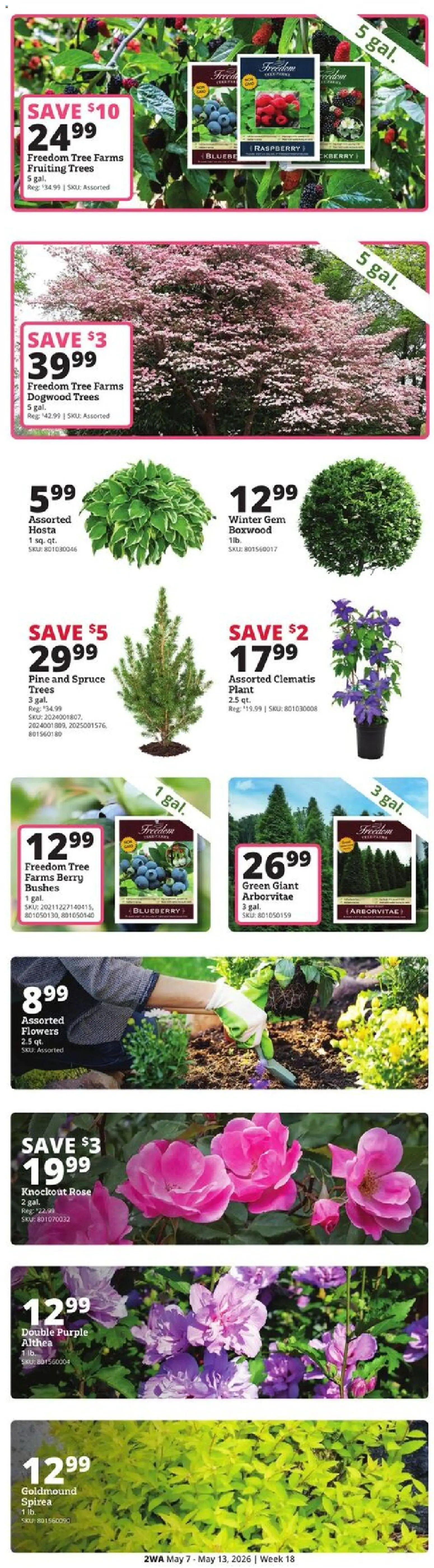 Rural King Weekly Ad - valid from 07.05.2026 | Page: 2
