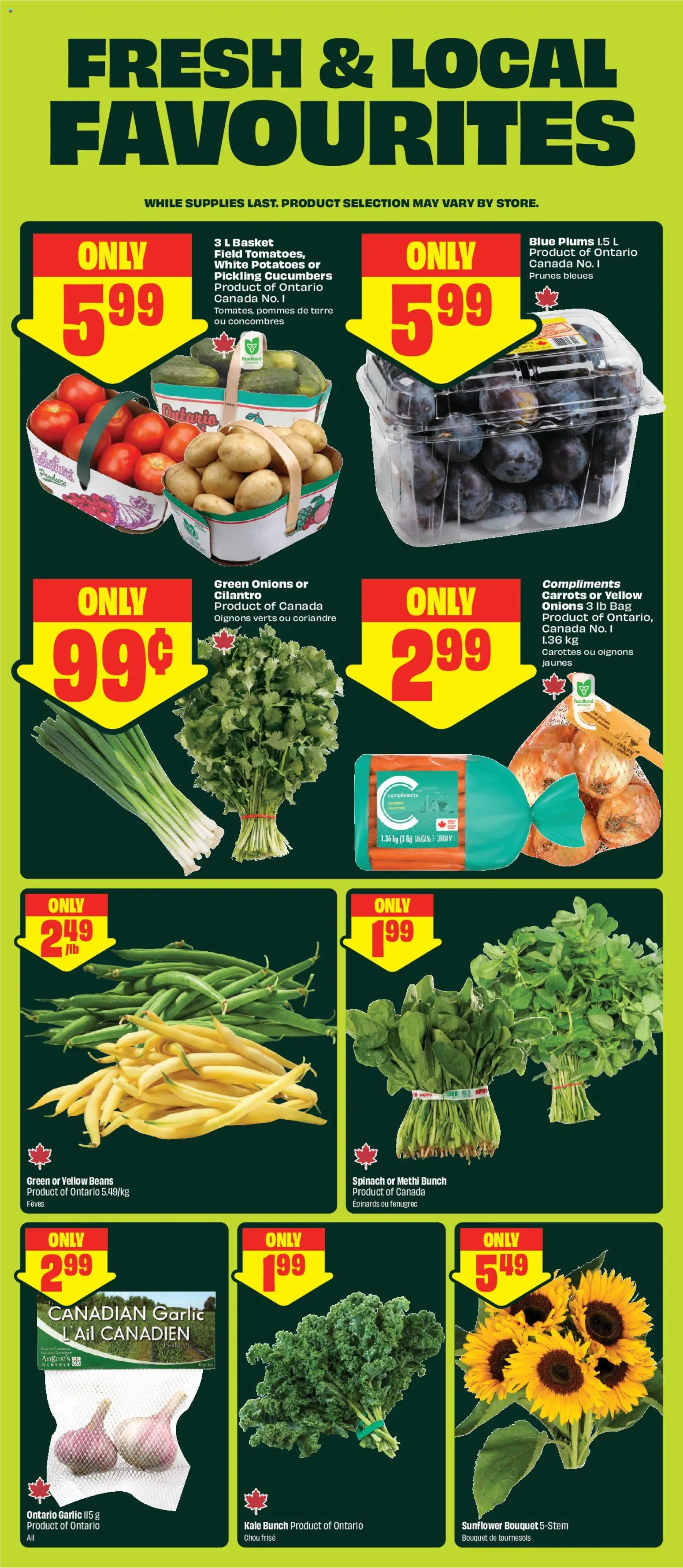 FreshCo flyer valid from Aug 13, 2026 | Page: 5 | Products: Potatoes, Bag, Kale, Beans