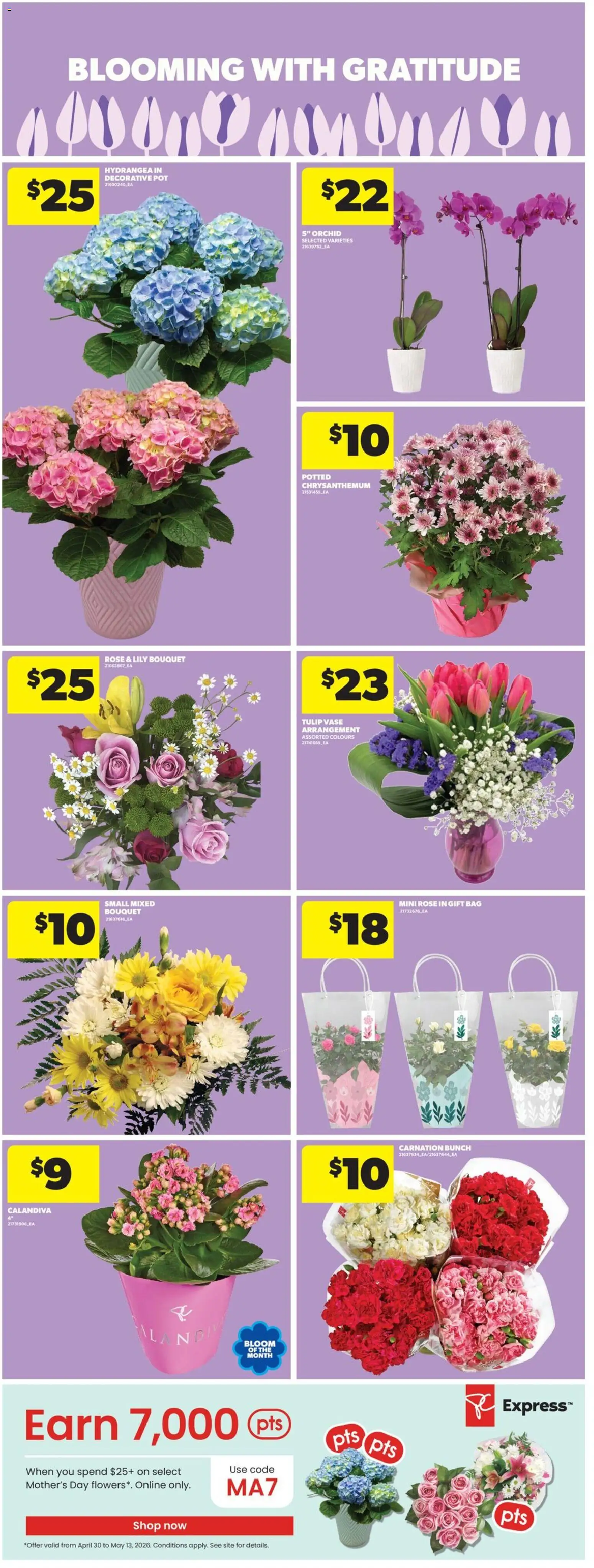 Real Canadian Superstore flyer valid from 07.05.2026 | Page: 9 | Products: Bag, Vase