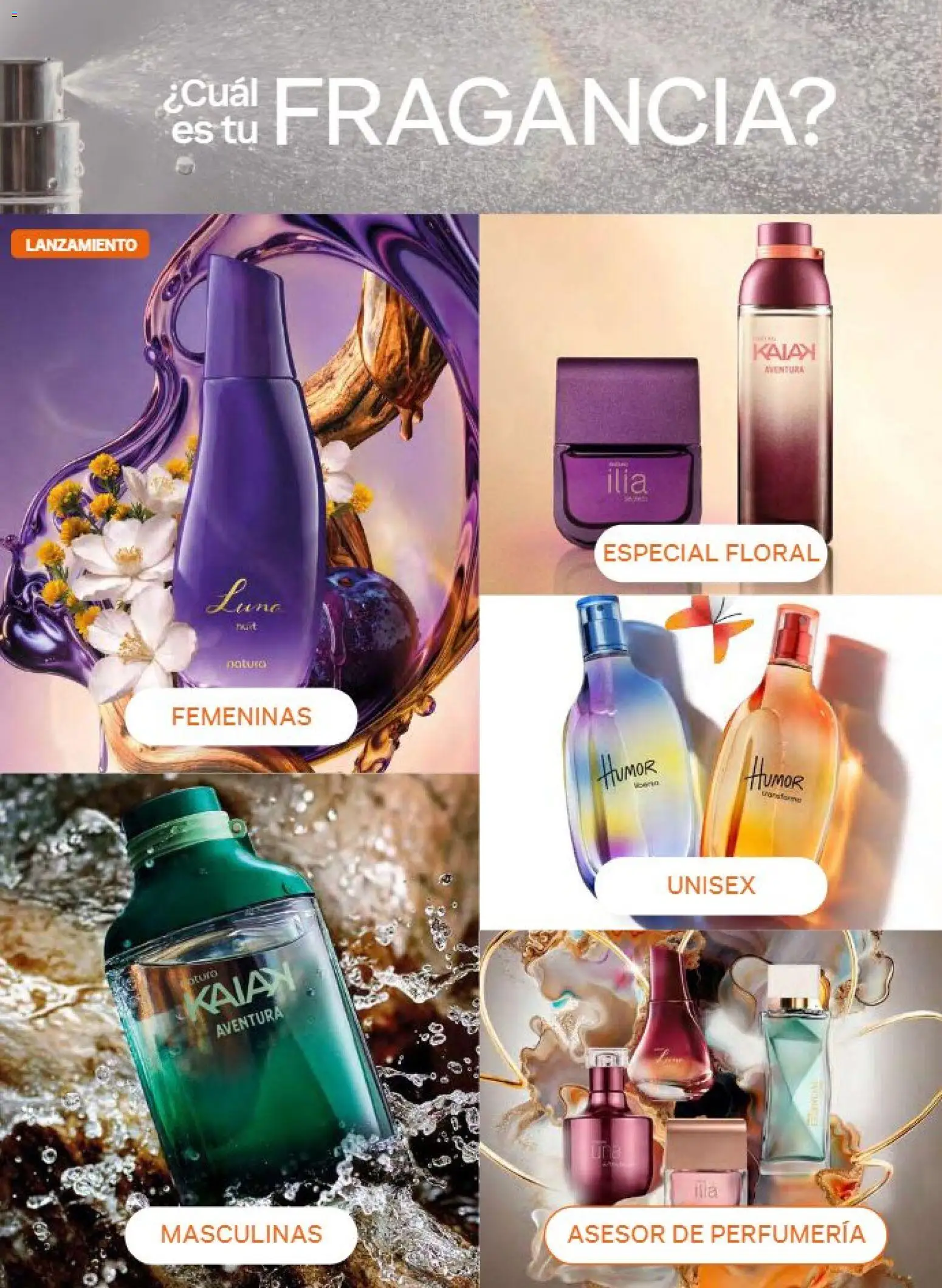 Nuevas ofertas de Natura válidas en toda la República Mexicana desde el 21/08/2026. ¡Encuentra las mejores ofertas en Natura campaña 13 2026! | Página: 21 | Productos: Fragancia