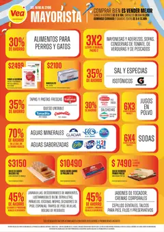 Vista previa Vea - mayorista de Mendoza válido desde el 16.06.2026 | Página: 2