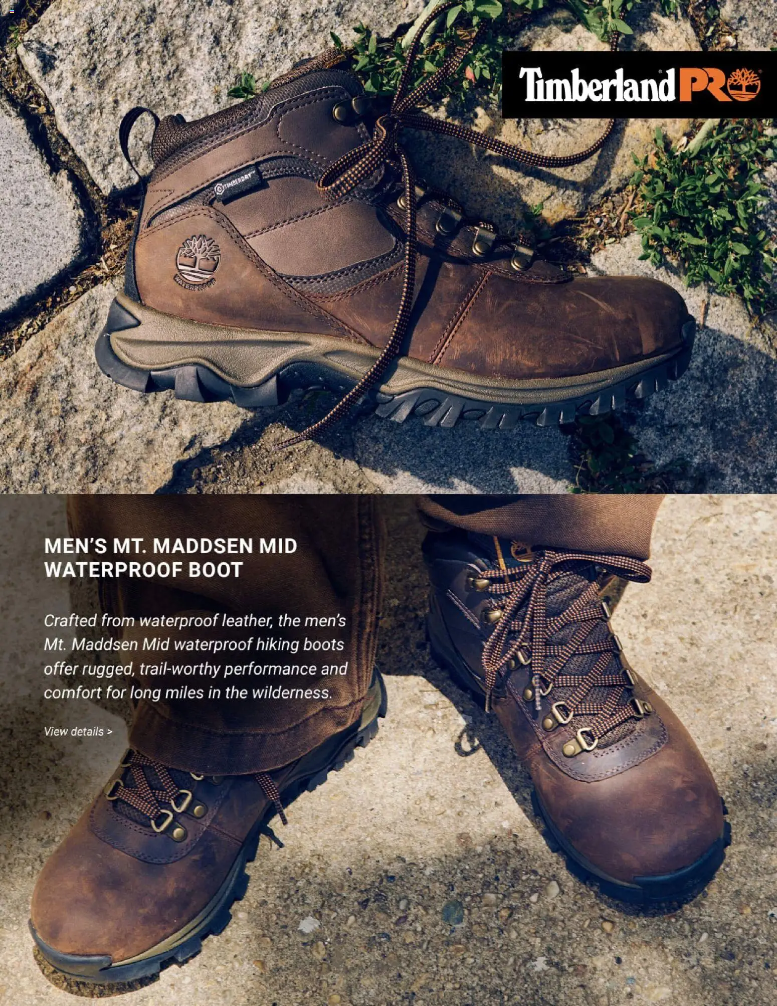 Dunham's Sports Winter Footwear - valid from 10/29/2026 | Page: 4