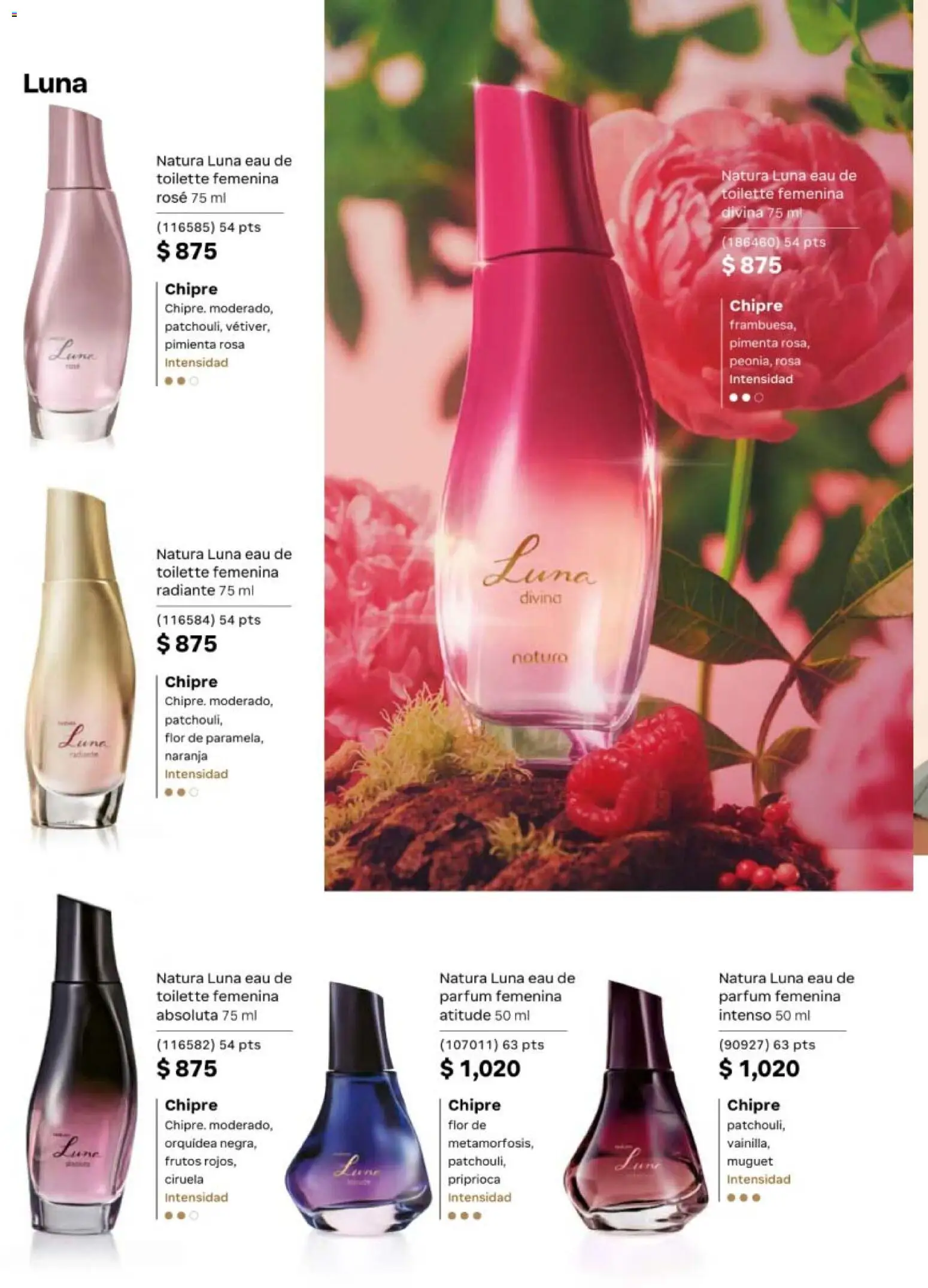 Nuevas ofertas de Natura válidas en toda la República Mexicana desde el 10/07/2026. ¡Encuentra las mejores ofertas en Natura campaña 11 2026! | Página: 34 | Productos: Pimienta, Radiante, Orquídea, Eau de toilette