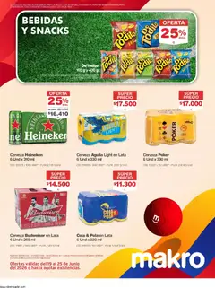 Makro catálogo -  Vista previa de la revista de la tienda Makro valido desde el 19/06/2026 | Página: 2 | Productos: Limón, Tintura, Cerveza