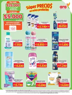 Ara catálogo -  Vista previa de la revista de la tienda Ara valido desde el 11.06.2026 | Página: 17