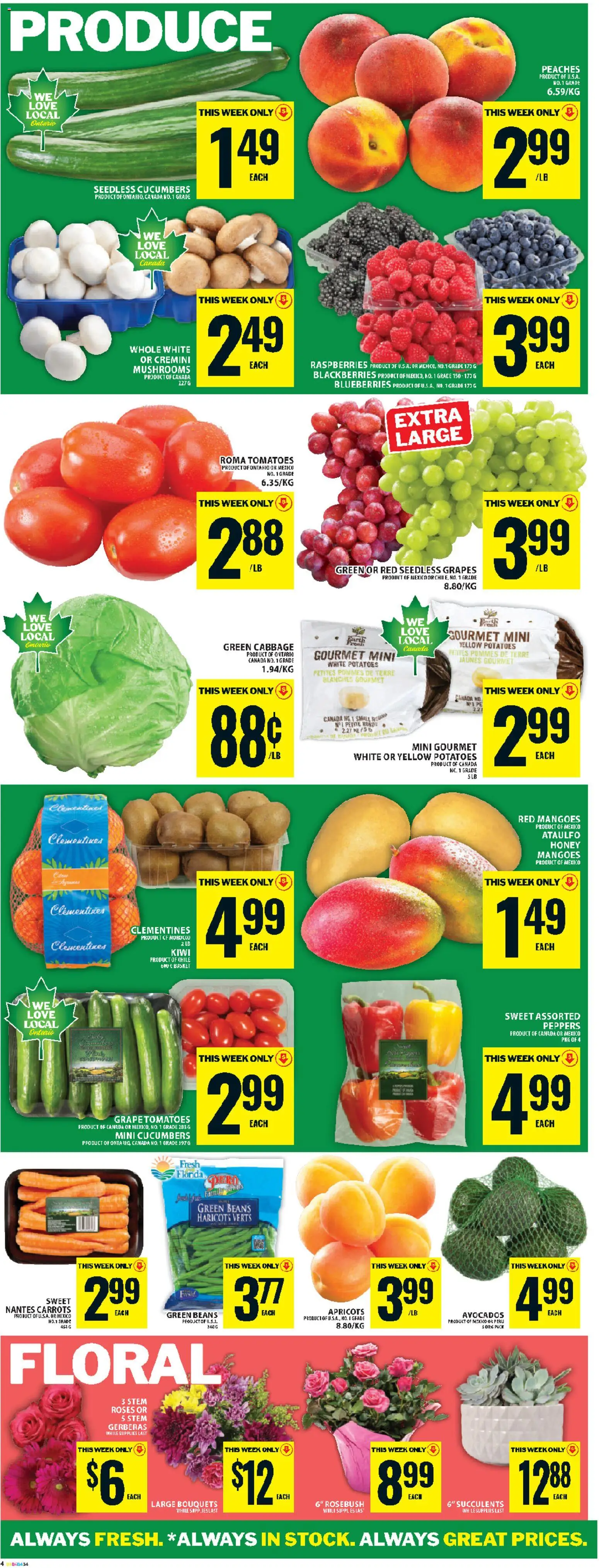 Food Basics flyer valid from 21.05.2026 | Page: 7