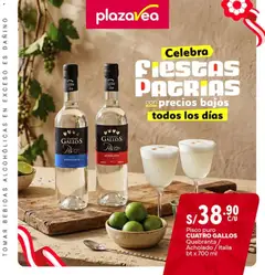 Vista previa de folleto Catálogo Plaza Vea - Especial Fiestas Patrias de la Plaza Vea válido desde 13/07/2026