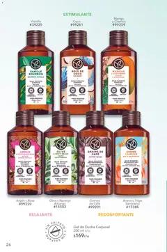 Vista previa de Yves Rocher campaña 9 2026, nuevo folleto de la tienda, válido en México a partir del 23/06/2026 | Página: 28 | Productos: Avena, Mango, Café, Gel de ducha