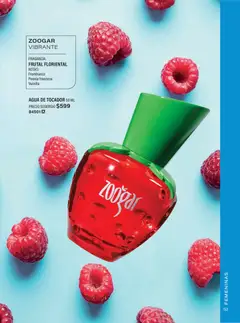 Vista previa de JAFRA catálogo Organizador de Ventas, nuevo folleto de la tienda, válido en México a partir del 01/07/2026 | Página: 153 | Productos: Agua, Perfume, Fragancia, Polvo