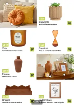 Vista previa de Coppel catálogo Primavera Verano, nuevo folleto de la tienda, válido en México a partir del 01/03/2026 | Página: 12 | Productos: Portarretrato, Vela, Florero, Reloj