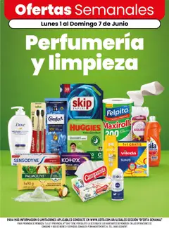Vista previa Coto - Perfumería y limpieza válido desde el 01.06.2026