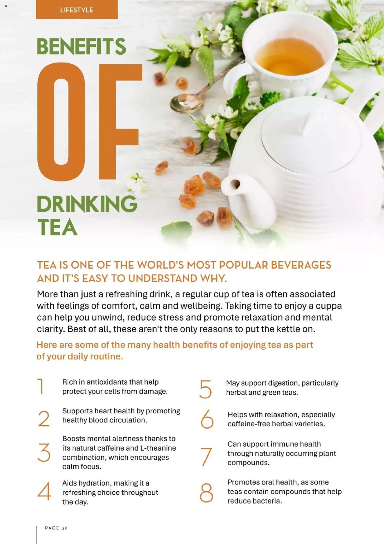 Foodworks catalogue - valid from 01/08/2026 | Page: 36 | Products: Plant, Tea, Herbal, Kettle
