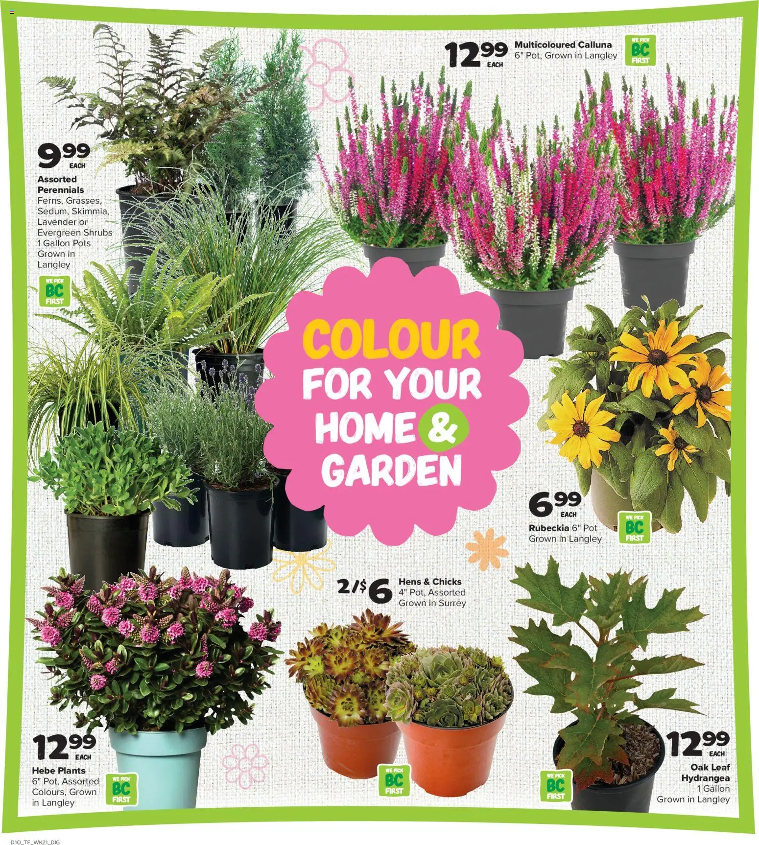 Thrifty Foods flyer valid from Sep 17, 2026 | Page: 17