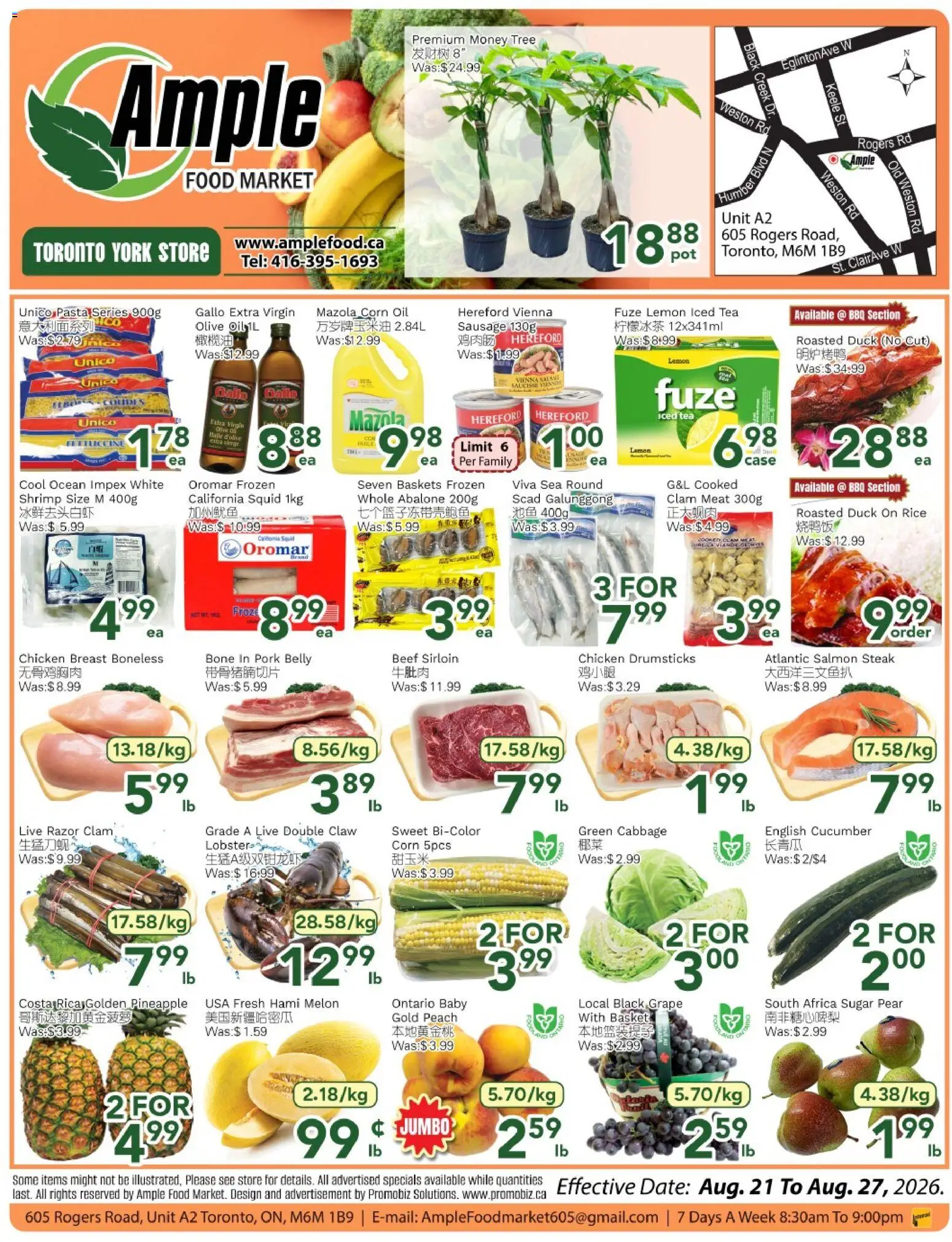 Ample Food Market flyer valid from Aug 21, 2026 | Page: 1 | Products: Pasta, Salmon, Corn, Oil