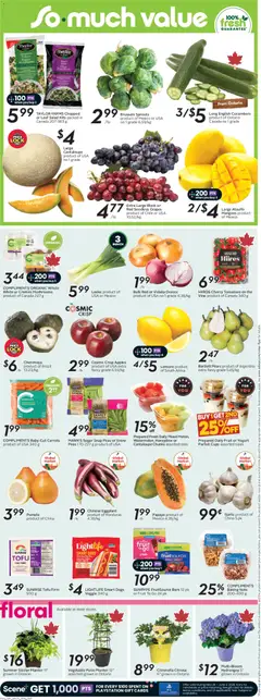 Preview of Sobeys weekly flyer / circulaire from shop Sobeys valid from 28.05.2026 | Page: 7 | Products: Nuts, Playstation, Apples, Tomatoes