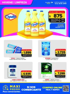 Vista previa Carrefour Maxi catálogo válido desde el 13.06.2026 | Página: 3