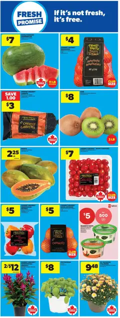 Preview of Real Canadian Superstore weekly flyer / circulaire from shop Real Canadian Superstore valid from Aug 20, 2026 | Page: 12