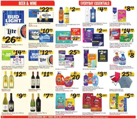 Preview of Winn Dixie weekly ads valid from 17.06.2026 | Page: 10