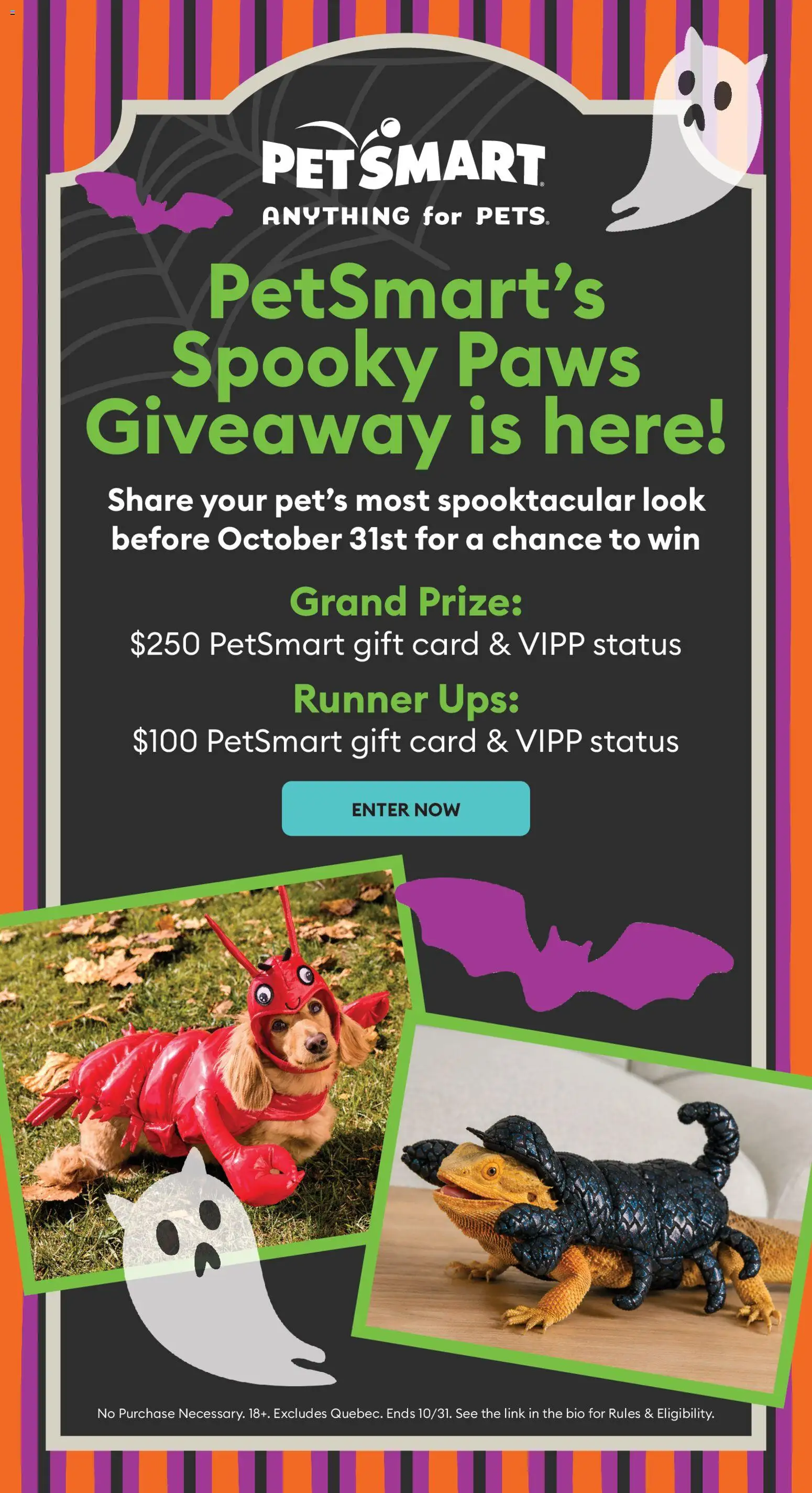 Petsmart flyer valid from Oct 8, 2026 | Page: 3