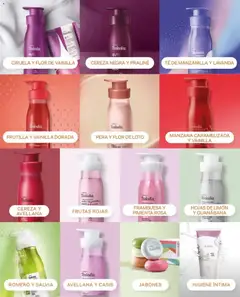 Natura catálogo válido desde el 15.09.2026 | Página: 150 | Productos: Manzana, Limón, Vainilla, Frutilla