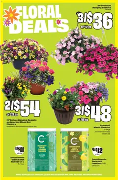 Preview of FreshCo weekly flyer / circulaire from shop FreshCo valid from 30.04.2026 | Page: 6