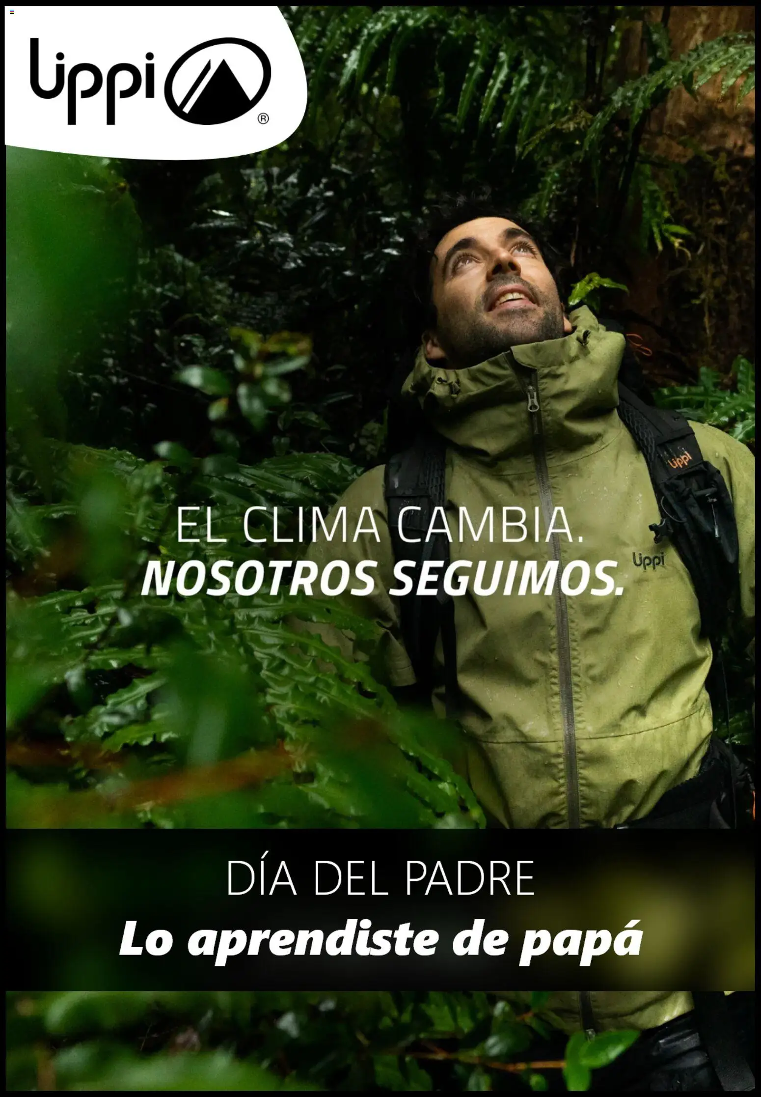 Lippi Ofertas │ válido desde el 11.06.2026 | Página: 1 | Productos: Papa