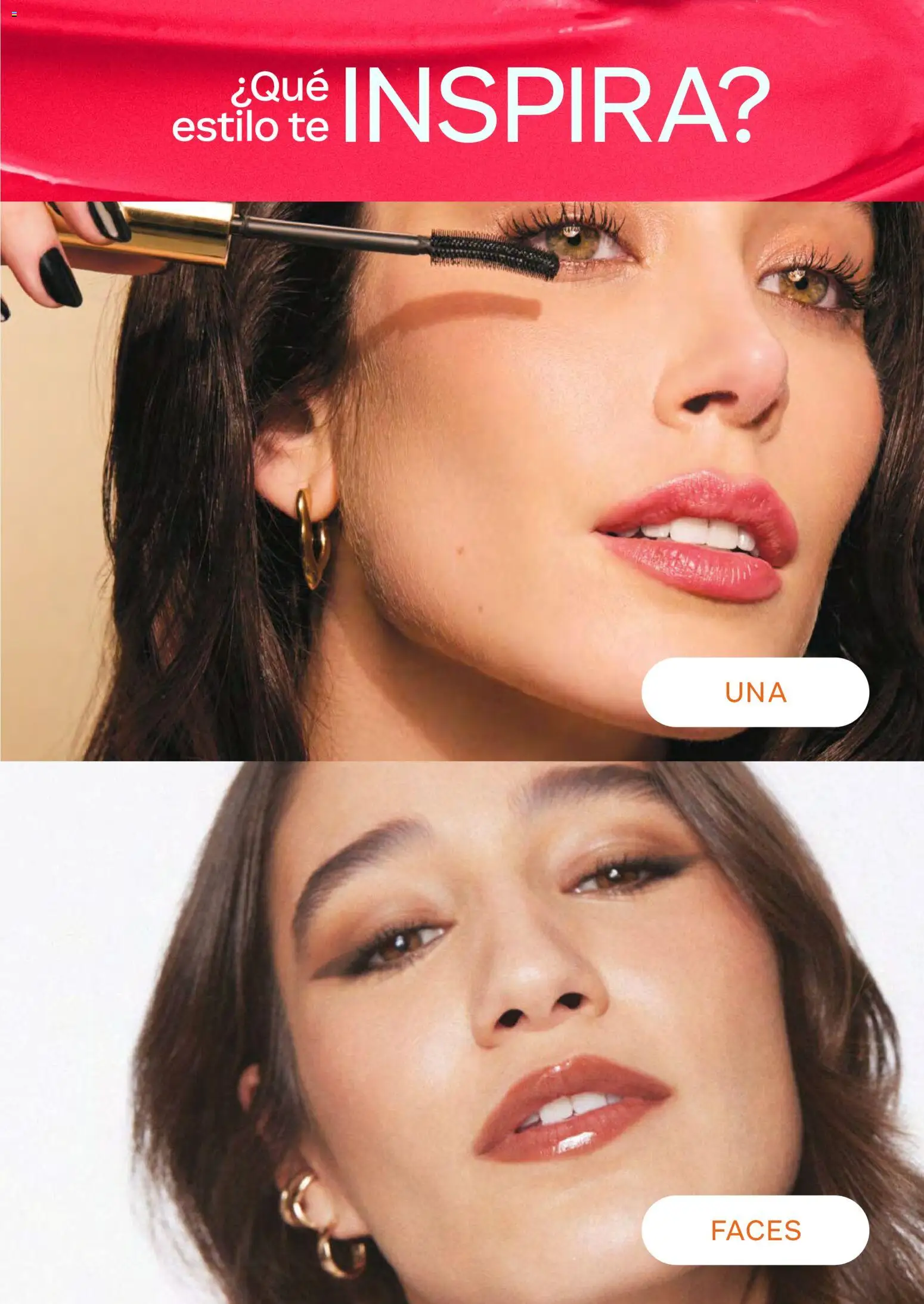 Natura revista - valida desde el 29.04.2026 | Página: 63 | Productos: Té