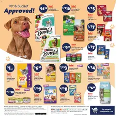 Preview of Family Dollar weekly ads valid from 14.06.2026 | Page: 12