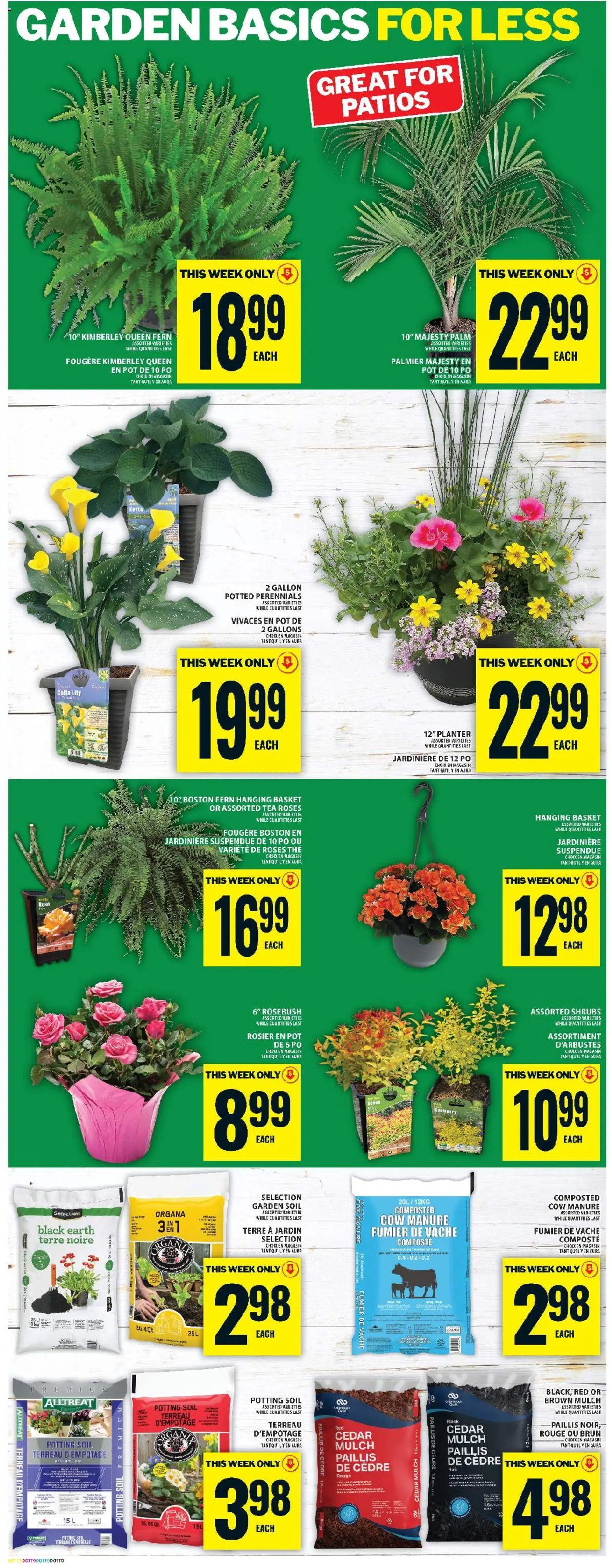 Food Basics flyer valid from 28.05.2026 | Page: 17 | Products: Tea, Basket