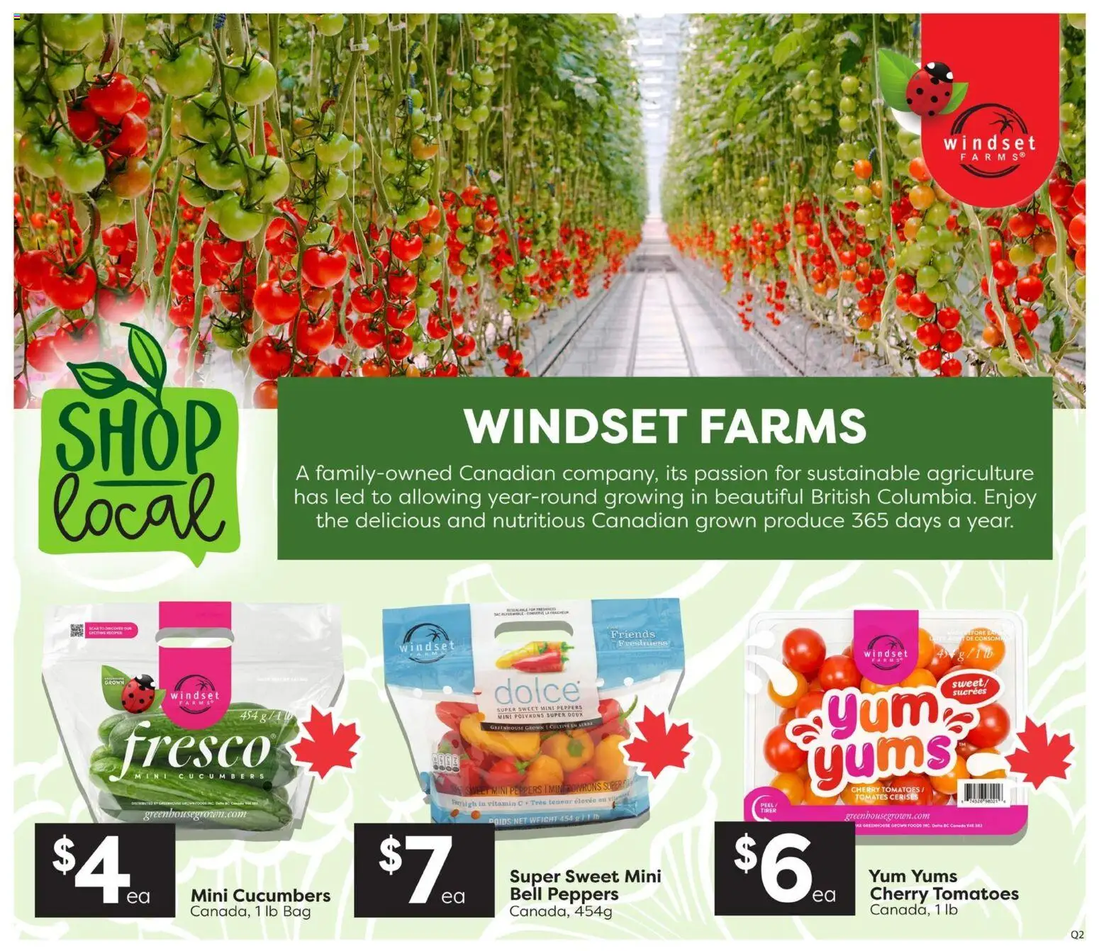 Quality Foods flyer valid from 11.06.2026 | Page: 3 | Products: Cucumbers, Bag, Tomatoes
