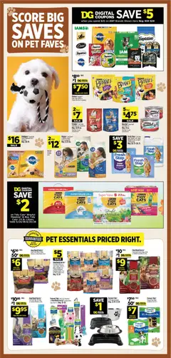 Preview of Dollar General weekly ads valid from 07.06.2026 | Page: 13