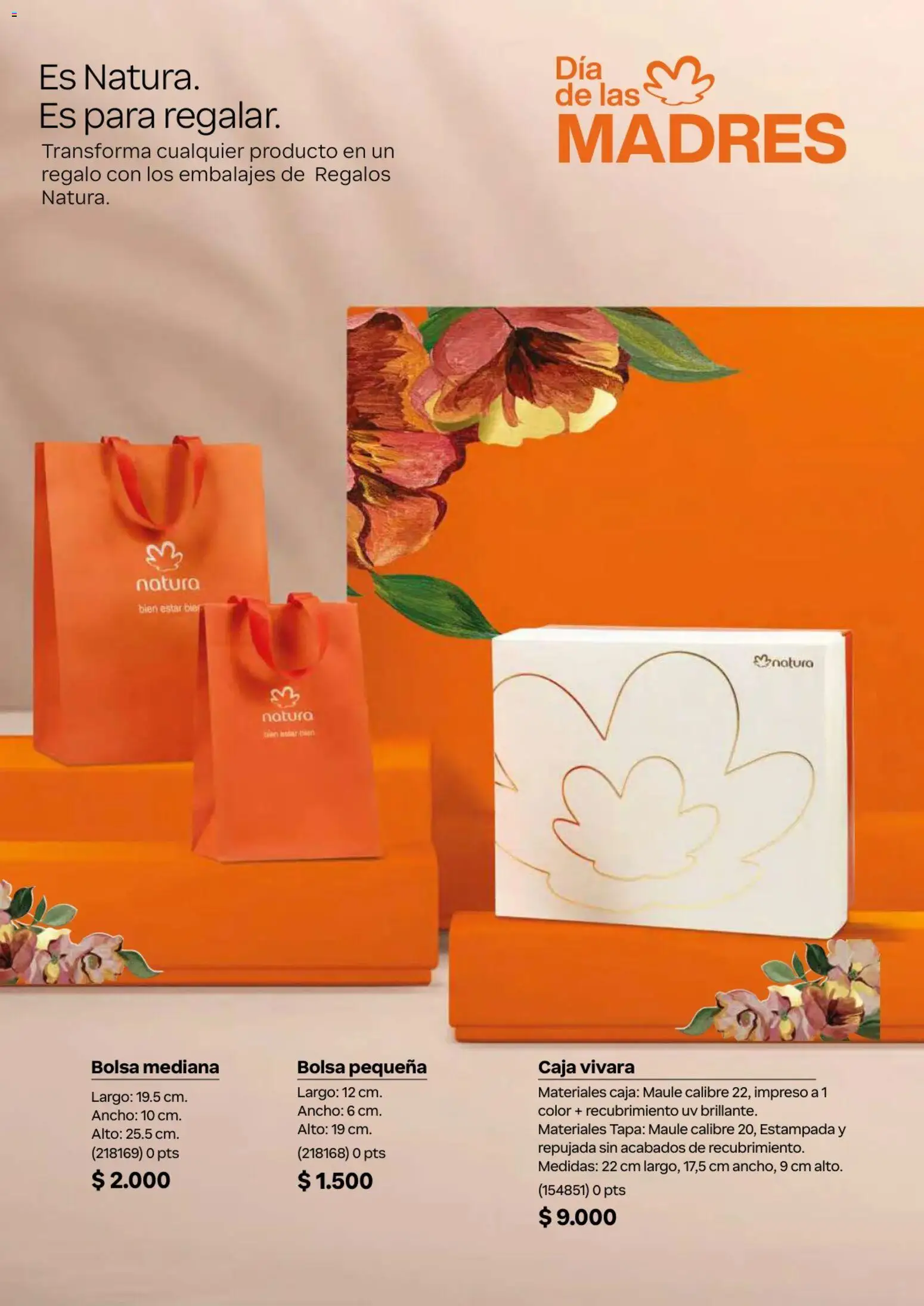 Natura revista - valida desde el 01.04.2026 | Página: 46 | Productos: Bolsa, Caja