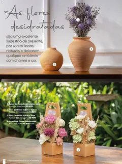 Zaffari ofertas marchand Inverno - Pré-Visualização do folheto da loja Zaffari, válido de 06/05/2026 | Página: 30 | Produtos: Flores, Vaso