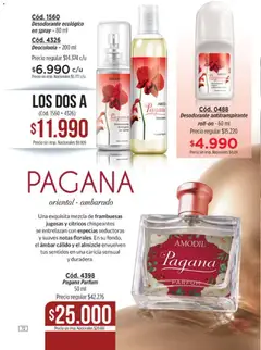 Vista previa Amodil - Campaña 10 válido desde el 01/06/2026 | Página: 72