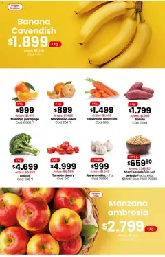 Vista previa Coto - Carnes, verduras, pescadería, frescos y elaborados válido desde el 22/06/2026 | Página: 3