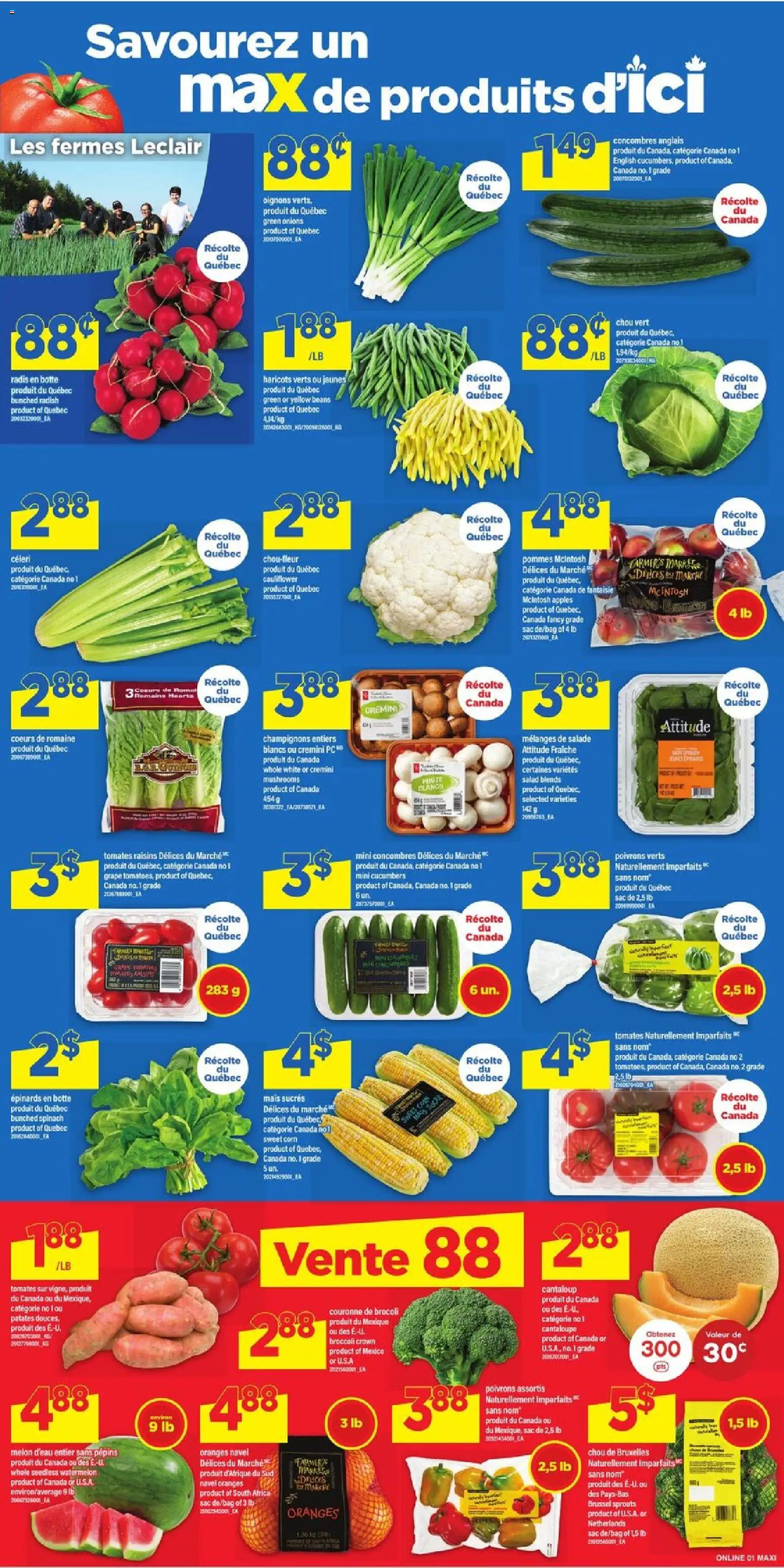 Maxi flyer valid from Sep 10, 2026 | Page: 5