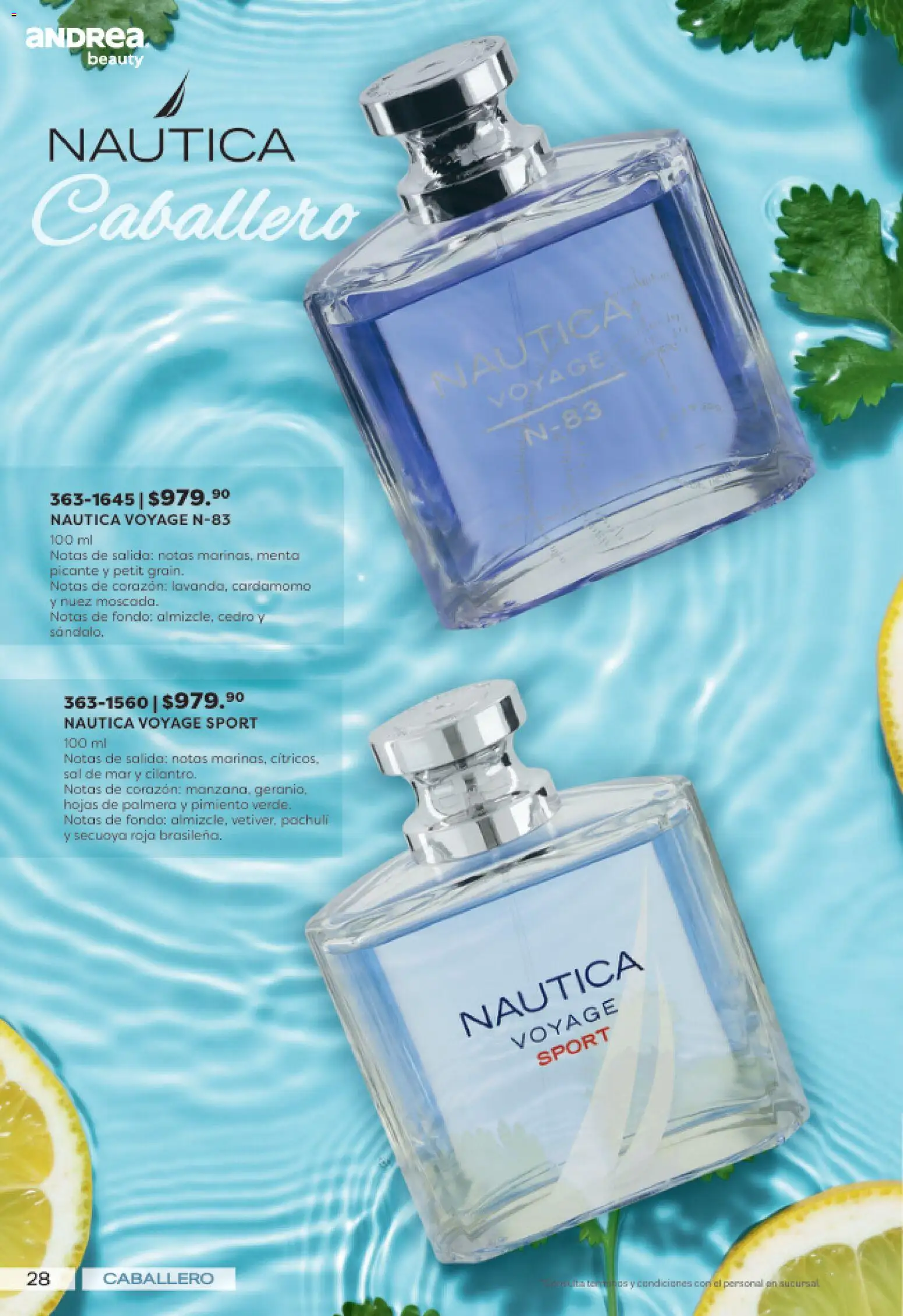 Nuevas ofertas de Andrea válidas en toda la República Mexicana desde el 19/07/2026. ¡Encuentra las mejores ofertas en Andrea catálogo Lo mejor en fragancias! | Página: 28 | Productos: Sal, Pimiento, Nuez