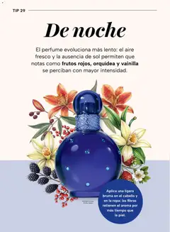 Vista previa de Chedraui folleto, nuevo folleto de la tienda, válido en México a partir del 04.05.2026 | Página: 62