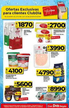 Vista previa Dia - Supermercado DIA Ofertas válido desde el 03.06.2026 | Página: 45