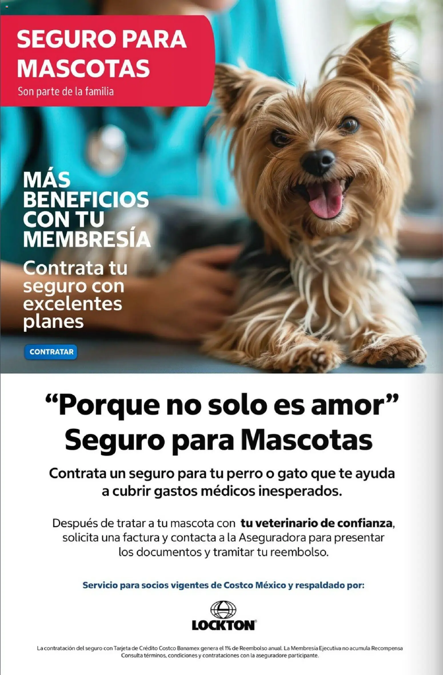 Nuevas ofertas de Costco válidas en toda la República Mexicana desde el 01.06.2026. ¡Encuentra las mejores ofertas en Costco Revista Junio 2026! | Página: 88 | Productos: Té
