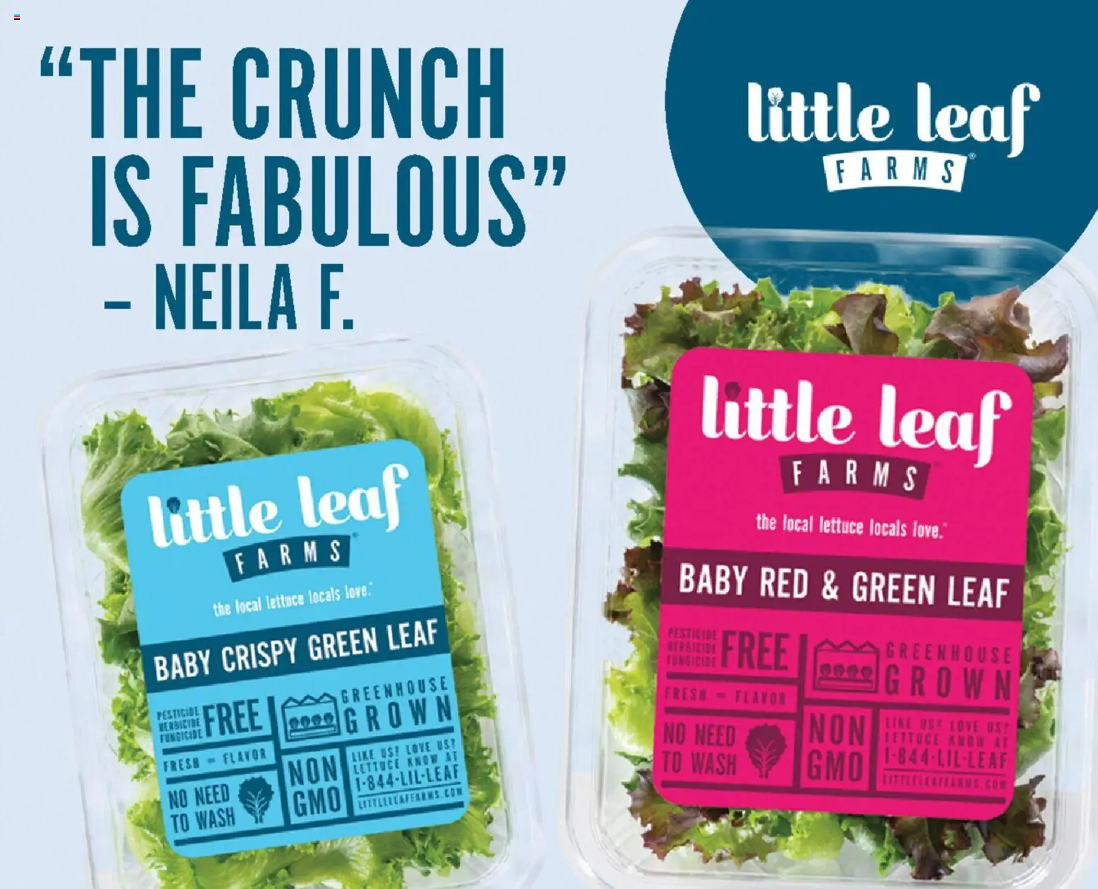 Weis Monthly Ad - valid from 08/13/2026 | Page: 11 | Products: Lettuce