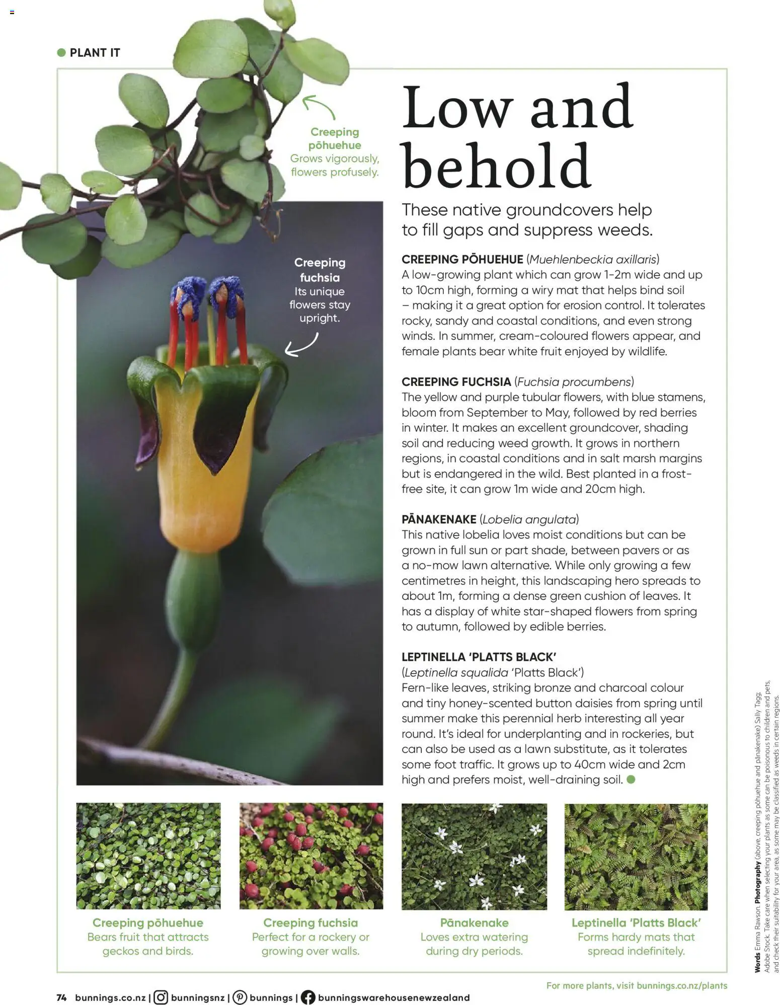 Bunnings Warehouse catalogue from 01.06.2026 | Page: 74