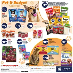 Preview of Family Dollar weekly ads valid from 09/13/2026 | Page: 13